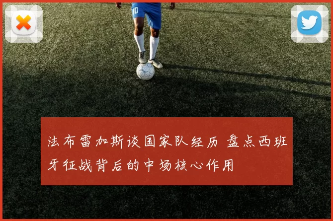 法布雷加斯谈国家队经历 盘点西班牙征战背后的中场核心作用