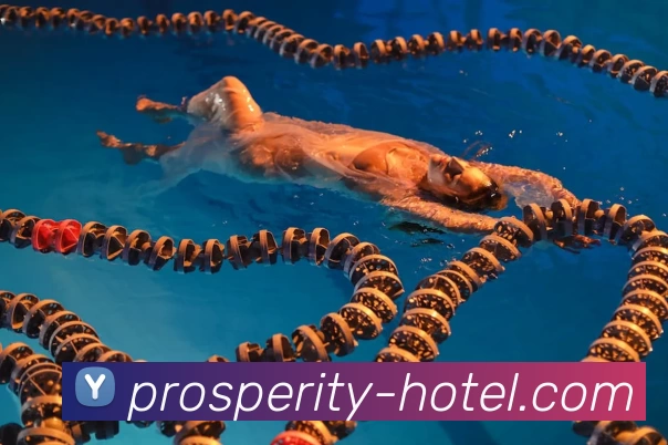 App Interface Preview